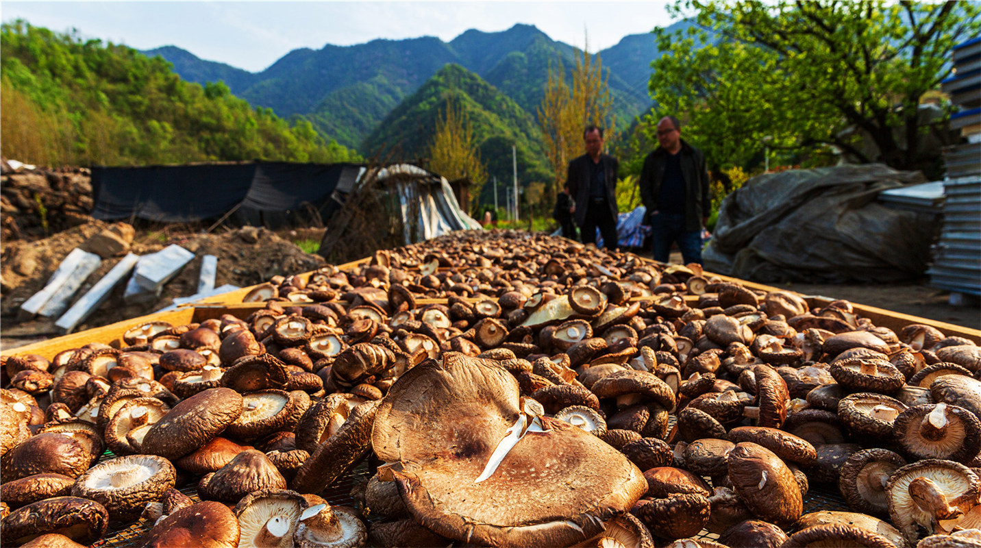 《結(jié)對幫扶，碩果累累》高波