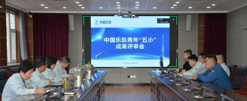 激揚青春智造力！中國樂凱團委召開青年&ldquo;五小&rdquo;成果評審會